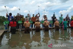 20 ribu bibit mangrove ditanam pada acara puncak peringatan HPN 2022