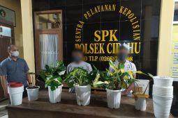 Maling spesialis tanaman hias ratusan juta rupiah ditangkap polisi
