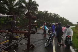 13 tiang listrik tumbang diterpa puting beliung di Bener Meriah