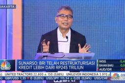 BRI yakin bisa tambah 5 juta nasabah Ultra Mikro baru tahun ini