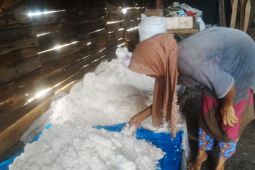 Ini kata petani garam lokal di Pidie