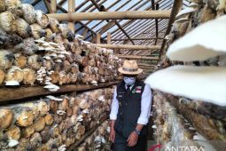 Gubernur Jabar apresiasi inovasi petani milenial bangkitkan perekonomian warga