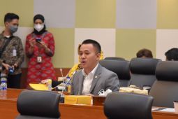 Saat PPKM, Mufti Anam minta Mendag harus pandai batasi barang impor