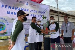PT Timah Tbk tanam 2.500 bakau di Sungai Pangkalpinang cegah banjir