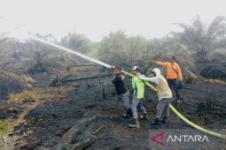BPBD: Kebakaran lahan kebun kelapa sawit di Nagan Raya sudah padam, luasnya 9 Ha
