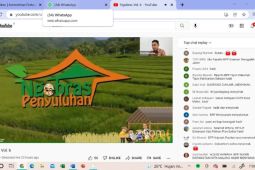 Kementan pastikan produktivitas pertanian meningkat melalui "smart farming"