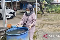 Berbagai upaya dilakukan Pemkab Balangan cegah penyebaran DBD