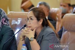 DPRD Gorontalo Utara minta Pemkab mengawasi stok minyak goreng