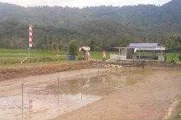 Menikmati angin sepoi di tepi sawah, sambil kulineran di Desa Jaro