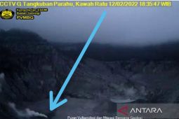 Gunung Tangkuban Parahu terpantau muntahkan asap solfatara