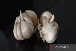 Disperindag Sumut berupaya kendalikan  kenaikan harga bawang putih