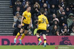 Liga Inggris - Wolves permalukan Tottenham di kandang dengan skor 2-0