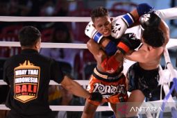 Kejuaraan muay thai "Summer Fights" dukung wisata olahraga di Bali
