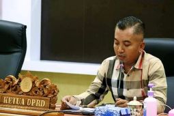 Ketua Sementara DPRD ajak masyarakat tingkatkan kecintaan terhadap budaya daerah