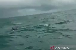 Petugas SAR temukan kapal nelayan Sukabumi yang hilang kontak di Cianjur