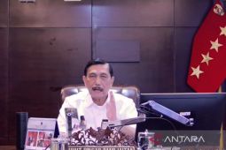 Luhut minta pemerintah belanja  produk dalam negeri