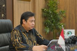 Indonesia to defend developing nations' interests at G20