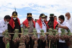 Kapolda Sumut panen raya bawang di Karo
