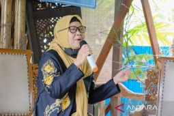 Pemerintah diharapkan tingkatkan pembinaan UMKM