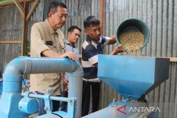 Australia dan Cina import Kopi Arabika Sipirok