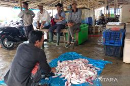 Cuaca buruk, stok ikan di Aceh Timur minim