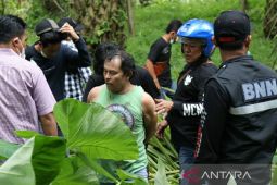 Lima pelaku diamankan gerebek kampung narkoba di Deliserdang, dua orang berstatus anak