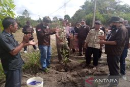 Tanam pohon berbuah hingga pemberian sembako isi aksi sosial BMS di Adiankoting