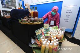 BRI mendorong pemerataan ekonomi melalui Holding Ultra Mikro