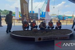 Airlangga ingin seluruh produksi Freeport diproses di dalam negeri