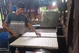 Legislatif Lebak desak pemerintah berikan subsidi harga kedelai bantu perajin tempe