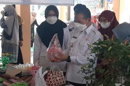 Pemkab Bangka dorong UMKM manfaatkan permodalan usaha