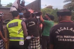 Polisi di Denpasar sita puluhan sepeda motor knalpot brong