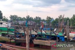 Jambi kembangkan potensi sumber daya perikanan untuk jadi komoditi unggulan