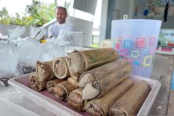 Bamboo caterpillar business prospecting in HST