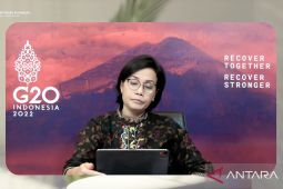 Menkeu: Realisasi belanja APBD capai Rp18,66 triliun pada Januari 2022