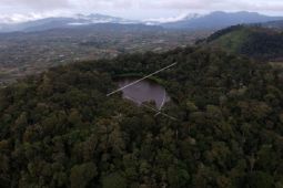 Tahukah anda : Gunung di Jambi dan ketinggiannya