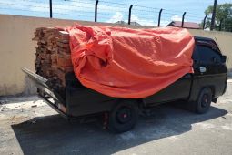 Ini pelaku ilegal logging di kawasan hutan Geumpang