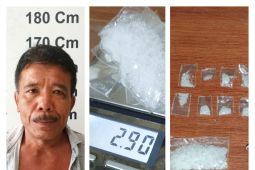 Polsek Pangkalan Susu tangkap Mirwanto pemilik 2,90 gram sabu-sabu