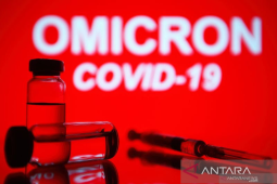 Subvarian Omicron BA.2 lebih menular, tetapi tidak lebih parah