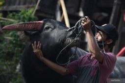 Bantai Adat di Merangin dirangkai Gernas Bangga Buatan Indonesia