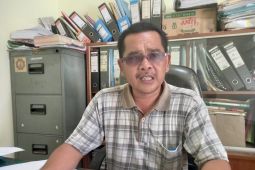 Terkendala kelengkapan syarat administrasi peremajaan kelapa sawit di  Batanghari  belum terealisasi