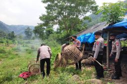 Polisi Situbondo gerebek tempat judi sabung ayam