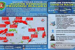 Satgas : tersisa 1.600 Kasus aktif COVID-19 di Maluku, begini penjelasannya