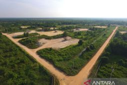 Pemerintah  setujui hak kelola 10 persen Blok Siak kepada BUMD Riau