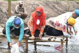 Bupati : Populasi ikan lokal turun