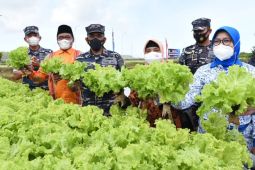 Bantu pemerintah, Lantamal XII Pontianak panen raya ikan dan sayuran