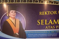 Guru Besar UB sarankan digitalisasi pemasaran produk UMKM perlu diperkuat