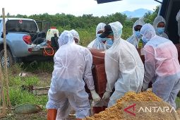 Satgas: kasus aktif COVID-19 harian di Bangka capai 102 orang