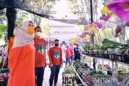 Pameran tanaman hias nasional di Lumajang, anthurium masih jadi primadona