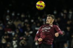 Liga Italia - Salernitana paksa Bologna seri 1-1